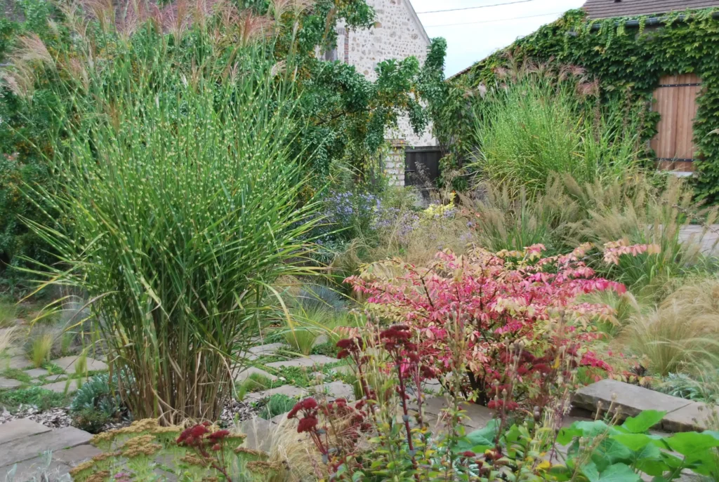 Cour aménagée avec pavés et plantes.